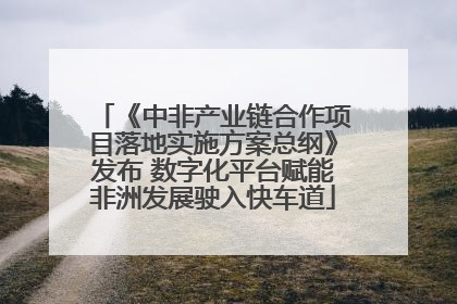 《中非产业链合作项目落地实施方案总纲》发布 数字化平台赋能非洲发展驶入快车道