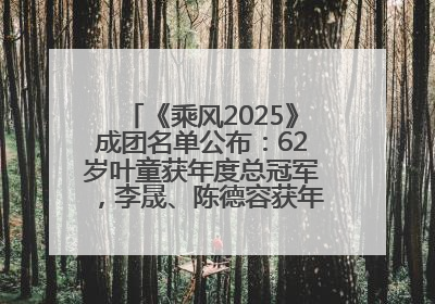 《乘风2025》成团名单公布：62岁叶童获年度总冠军，李晟、陈德容获年度高光人物