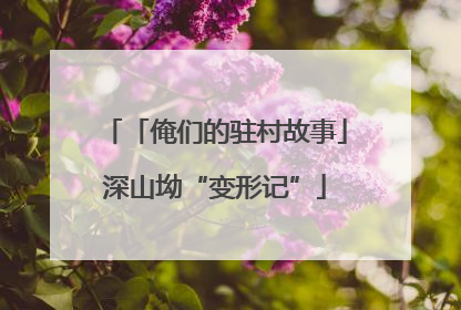 「俺们的驻村故事」深山坳“变形记”
