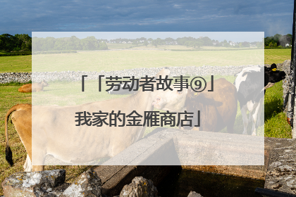「劳动者故事⑨」我家的金雁商店