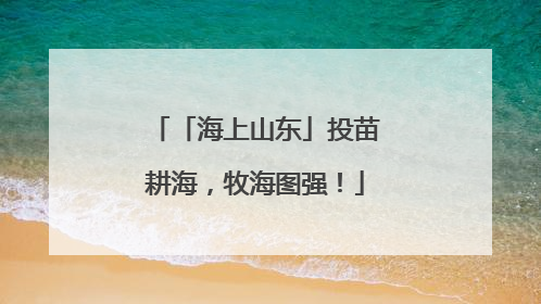 「海上山东」投苗耕海，牧海图强！