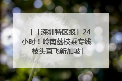 「深圳特区报」24小时！岭南荔枝乘专线 枝头直飞新加坡