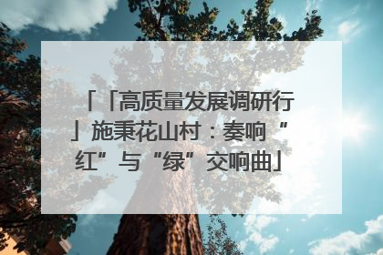 「高质量发展调研行」施秉花山村：奏响“红”与“绿”交响曲