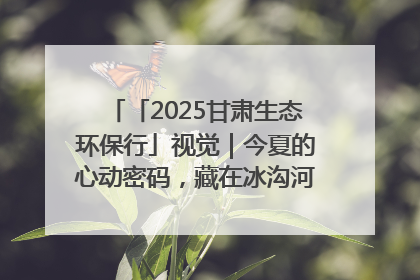 「2025甘肃生态环保行」视觉｜今夏的心动密码，藏在冰沟河的潋滟波光里