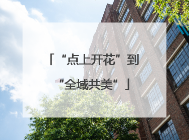 “点上开花”到“全域共美”