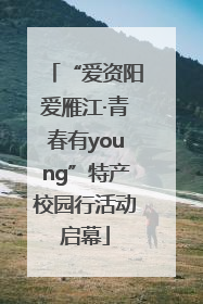 “爱资阳爱雁江·青春有young”特产校园行活动启幕