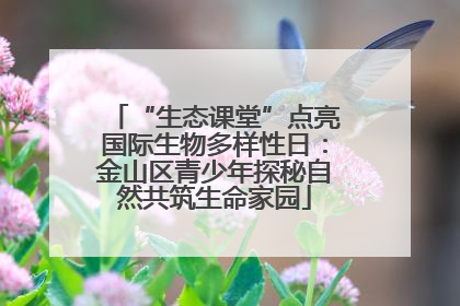 “生态课堂”点亮国际生物多样性日：金山区青少年探秘自然共筑生命家园