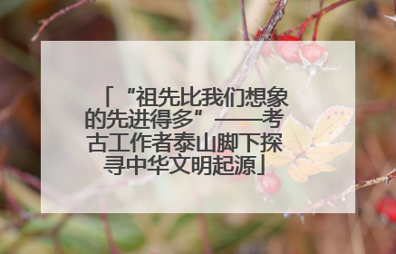 “祖先比我们想象的先进得多”——考古工作者泰山脚下探寻中华文明起源