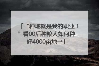 “种地就是我的职业！”看00后种粮人如何种好4000亩地→
