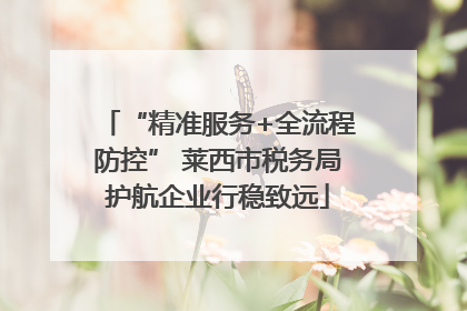 “精准服务+全流程防控” 莱西市税务局护航企业行稳致远