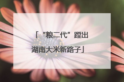 “粮二代”蹚出湖南大米新路子