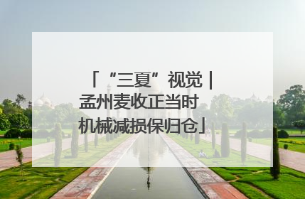 “三夏”视觉｜孟州麦收正当时 机械减损保归仓