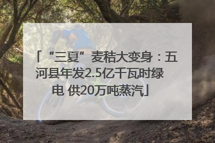 “三夏”麦秸大变身：五河县年发2.5亿千瓦时绿电 供20万吨蒸汽