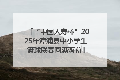 “中国人寿杯”2025年漳浦县中小学生篮球联赛圆满落幕