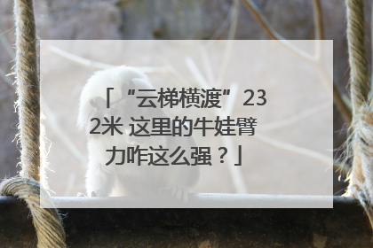 “云梯横渡”232米 这里的牛娃臂力咋这么强？