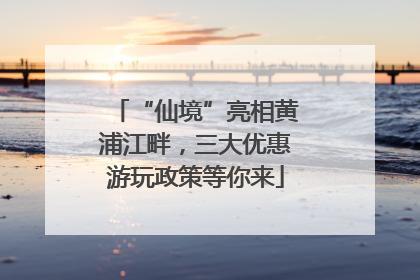 “仙境”亮相黄浦江畔，三大优惠游玩政策等你来