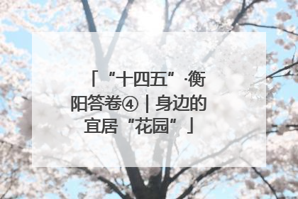 “十四五”·衡阳答卷④｜身边的宜居“花园”