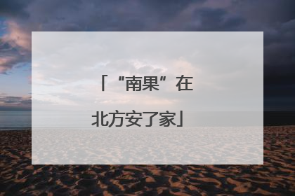 “南果”在北方安了家