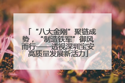 “八大金刚”聚链成势，“制造铁军”御风而行——透视深圳宝安高质量发展新活力