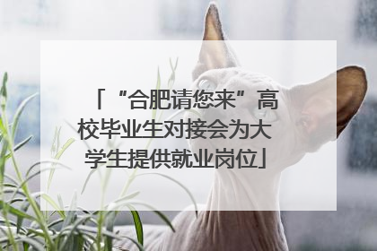 “合肥请您来”高校毕业生对接会为大学生提供就业岗位