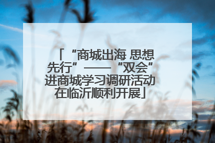 “商城出海 思想先行”——“双会”进商城学习调研活动在临沂顺利开展