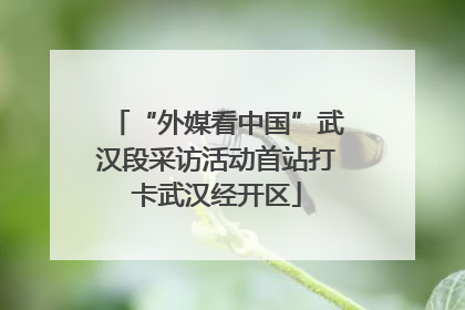 “外媒看中国”武汉段采访活动首站打卡武汉经开区
