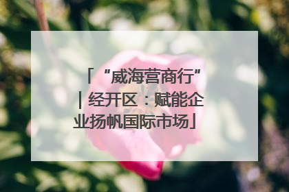 “威海营商行”｜经开区：赋能企业扬帆国际市场