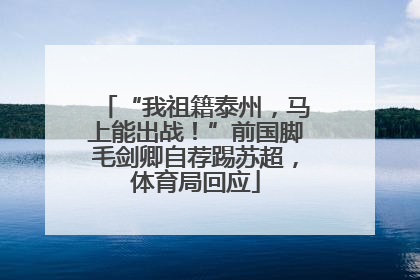 “我祖籍泰州，马上能出战！”前国脚毛剑卿自荐踢苏超，体育局回应