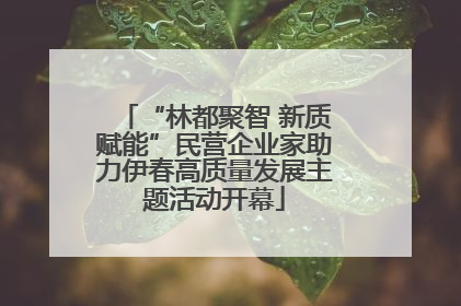 “林都聚智 新质赋能”民营企业家助力伊春高质量发展主题活动开幕
