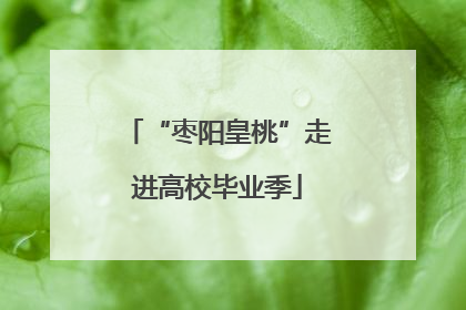 “枣阳皇桃”走进高校毕业季