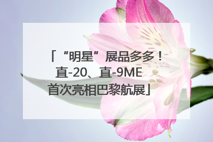 “明星”展品多多！直-20、直-9ME首次亮相巴黎航展