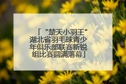 “楚天小羽王”湖北省羽毛球青少年俱乐部联赛新锐组比赛圆满落幕