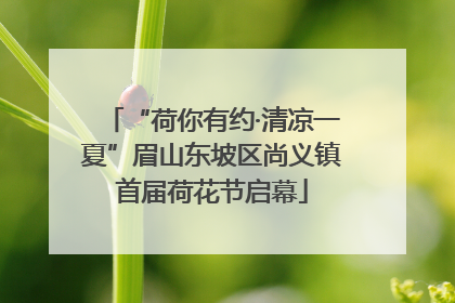 “荷你有约·清凉一夏”眉山东坡区尚义镇首届荷花节启幕