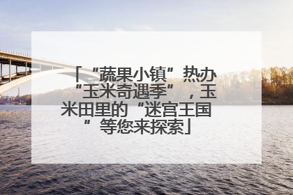 “蔬果小镇”热办“玉米奇遇季”，玉米田里的“迷宫王国”等您来探索