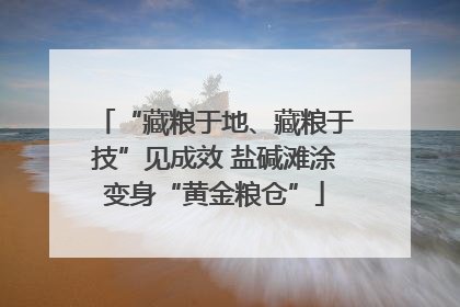 “藏粮于地、藏粮于技”见成效 盐碱滩涂变身“黄金粮仓”