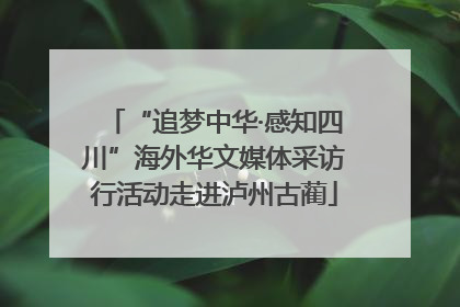 “追梦中华·感知四川”海外华文媒体采访行活动走进泸州古蔺