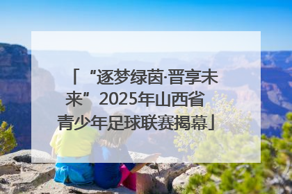 “逐梦绿茵·晋享未来”2025年山西省青少年足球联赛揭幕