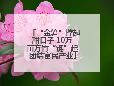“金笋”撑起甜日子 10万亩方竹“链”起团结富民产业