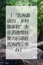 “青海源动力，乡村焕新程”央企消费帮扶聚力行动在青海西宁举办