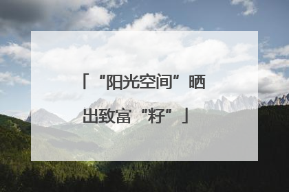 “阳光空间”晒出致富“籽”