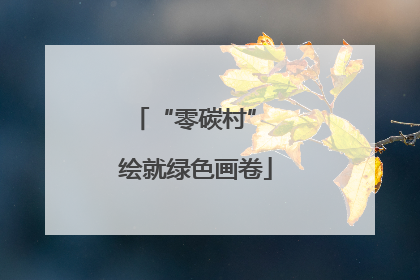 “零碳村” 绘就绿色画卷