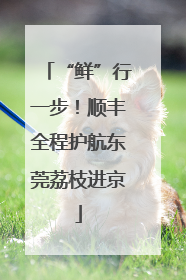 “鲜”行一步！顺丰全程护航东莞荔枝进京