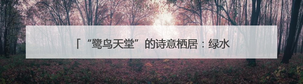 “鹭鸟天堂”的诗意栖居：绿水青山中的共生智慧丨有一说一