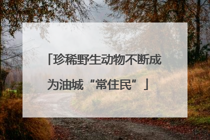 珍稀野生动物不断成为油城“常住民”
