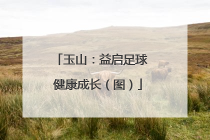 玉山：益启足球 健康成长（图）
