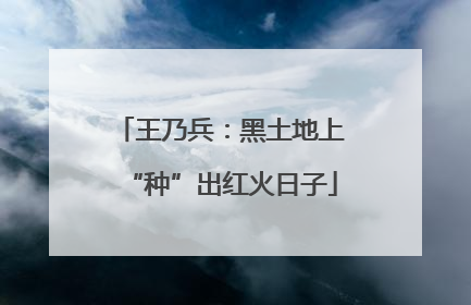 王乃兵：黑土地上“种”出红火日子