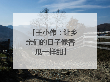 王小伟：让乡亲们的日子像香瓜一样甜