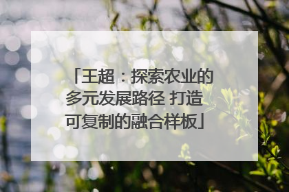 王超：探索农业的多元发展路径 打造可复制的融合样板