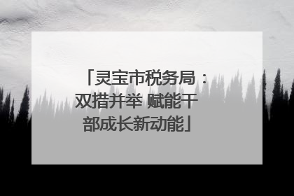 灵宝市税务局：双措并举 赋能干部成长新动能