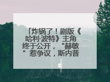 炸锅了！剧版《哈利·波特》主角终于公开，“赫敏”惹争议，斯内普变黑人……